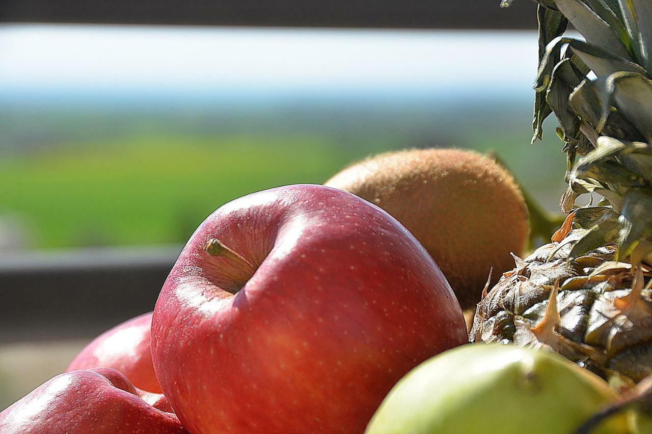 Eden Resort Wellness Rehabilitation Τερσεφάνου Εξωτερικό φωτογραφία